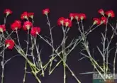 Russian diplomats in Georgia honor memory of fallen heroes of Great Patriotic War