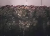 India, Pakistan agree to ceasefire