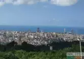 New acting mayor appointed in Batumi