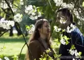 Moscow in bloom:  delicate apple trees, cherries, lilacs and bird cherry