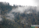 Turkey records more than 700 fires in 10 days