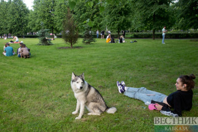 Psychologists tell how to safely exit self-isolation