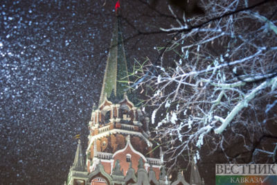 First snowfall in Moscow (photo report)