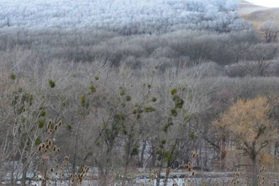 Nighthawkers neutralized in Stavropol wildlife preserve