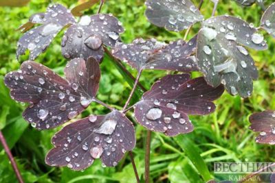 Decisive year for energy Industry