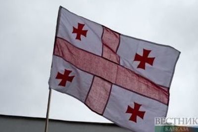 Georgian Prosecutor General's Office not to interfere with Melia's release