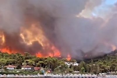 Top forestry official recounts Turkey’s biggest wildfire