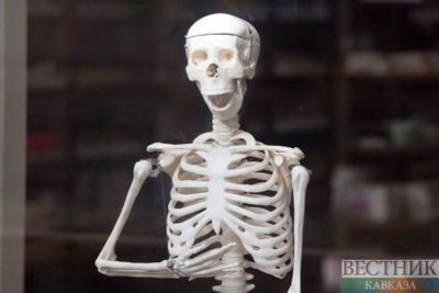 Georgian opposition party leader goes on hunger strike due to Saakashvili