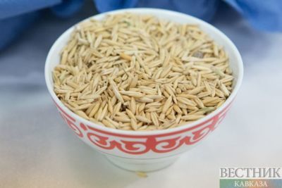 ‘Starving’ Saakashvili eats porridge and drinks juices, Georgian Ministry of Justice says