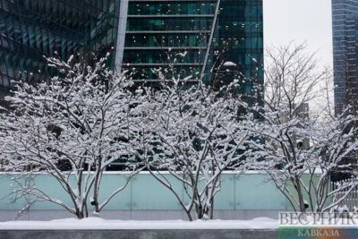 Snowfall in Moscow (photo report)