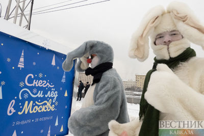 Snow and Ice in Moscow (photo report)