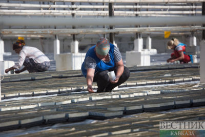 Crisis in Ukraine accelerates rising farm production prices