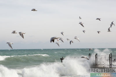 Turkey and Azerbaijan among 4 nations with high offshore wind energy potential: GWEC