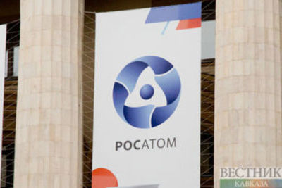 Finland terminates NPP construction contract with Rosatom