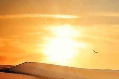 Uzbek miners to go solar 