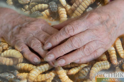 Turkish scientist found cure for ageing