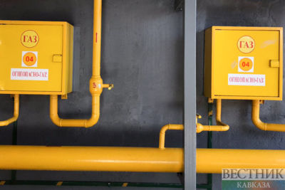 Both strings of Nord Stream to be shut down for repairs