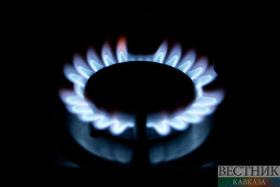 EC proposes to impose price cap on all Russian gas