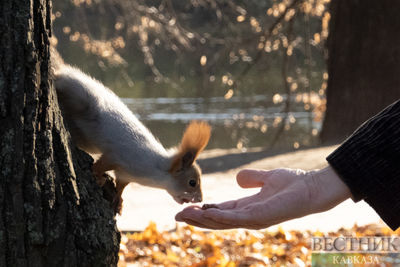 Indian summer in Lefortovo park (photo report)