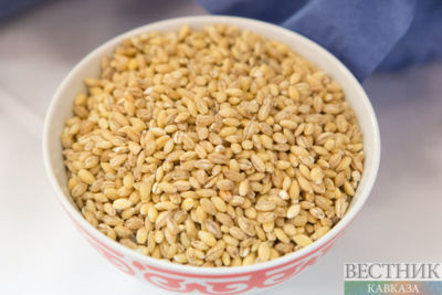 Türkiye assists Pakistan in addressing its food security issues