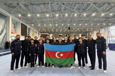 Azerbaijani gymnasts win "gold" at World Age Group Competition