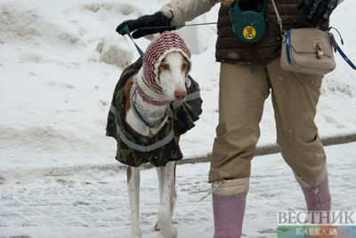 Deadly cold gripping China, Japan and both Koreas. Experts say it’s the ‘new norm’