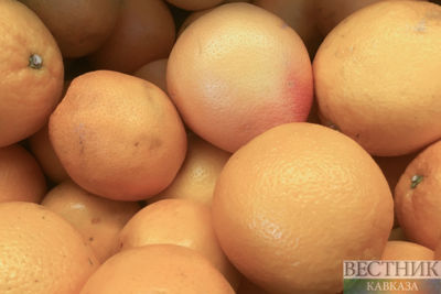 Russia becomes main importer of Turkish citrus fruits