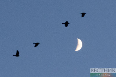 North Korea satellite launch fails