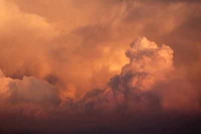 Sandstorm in Iran: Hundreds injured