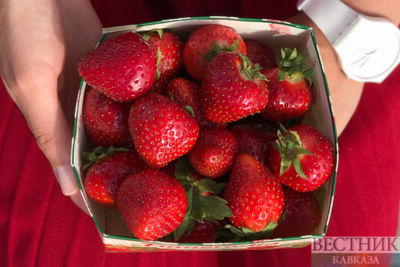 What to eat to overcome stress