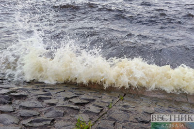 Japan starts dumping Fukushima wastewater into ocean