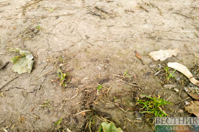 4.4-point earthquake hits Türkiye