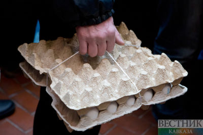 Turkey starts exporting chicken eggs to Russia