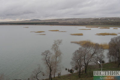 Ban on coregonus fishing extended  in Sevan