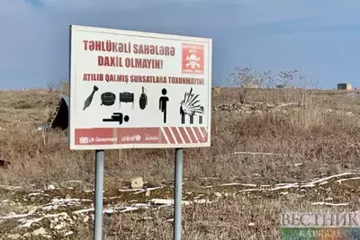 Azerbaijani Ombudsman: int'l community must force Armenia to hand over minefield maps