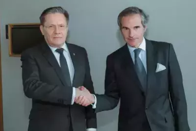 Rosatom and IAEA heads hold talks in Sochi