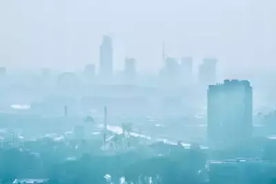 Tashkent borders changed: city receives regional lands