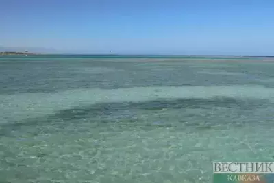 Deadly shark spotted at Hurghada