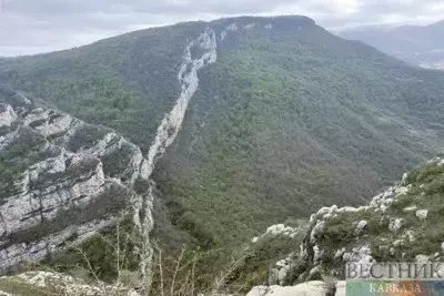 Azerbaijani Foreign Ministry: over 500  wildlife species are endangered due to Armenia’s actions