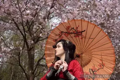 Sakura in Moscow 2024: how delicate Japanese sakura blossoms in Biryulevsky Arboretum