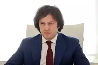 Georgian Prime Minister condemns former US Ambassador