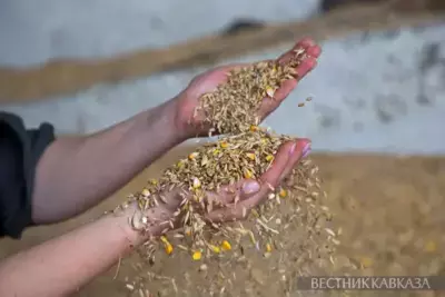 Stavropol increases flour supplies to Afghanistan and Azerbaijan