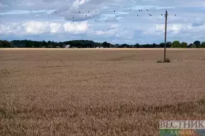 Türkiye ranks first in Europe in agricultural income