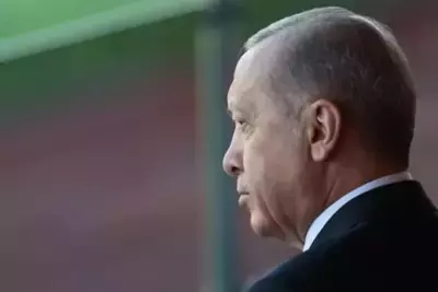 Erdogan seeks meeting with Harris