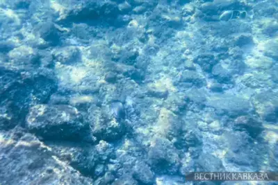 Coral Paradise Ras Banas - Egypt's future Red Sea resort