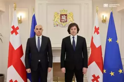 Kobakhidze meets with Secretary General of Council of Europe