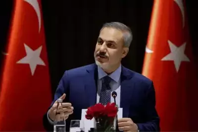 Turkish troops will not stay in Syria - Turkish Foreign Ministry