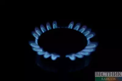 Attack of Turkish Stream pipeline dangerous for European consumers - Peskov