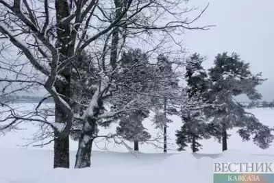 Man dies as heavy snowfall cause damage in western Georgia