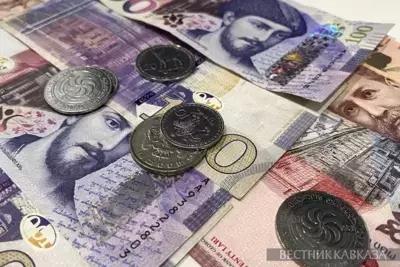 Georgia privatizes more property than planned